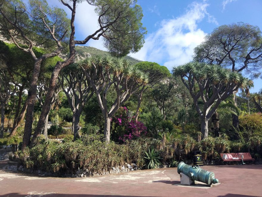 Ботанический сад Гибралтара и вечер в Ла-Линее.