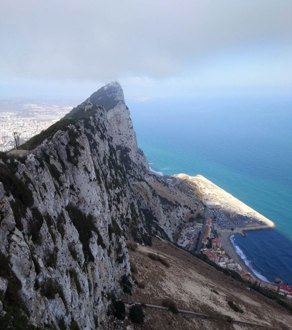 Скала Гибралтар и главная её особенность – Обезьяны